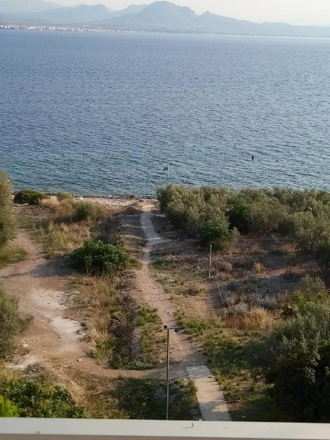 Atlas Apartment With Private Beach And Seaview Loutráki Dış mekan fotoğraf